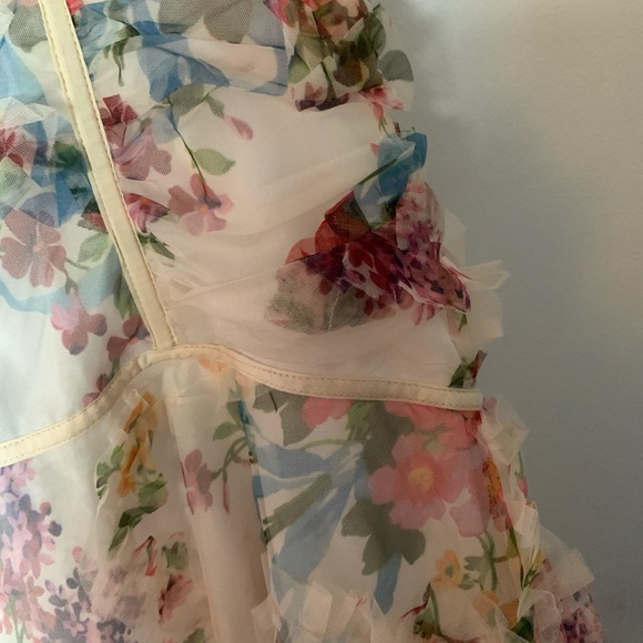 Last Chance Pretty Little Things Floral Textured Ruffle Chiffon Dress Size 16 - Picture 5 of 9